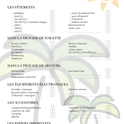 Checklist avant de voyager avec sa vape