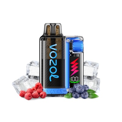 Vozol Vista Plug Blue Razz